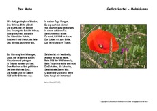 Der-Mohn-Uhland.pdf